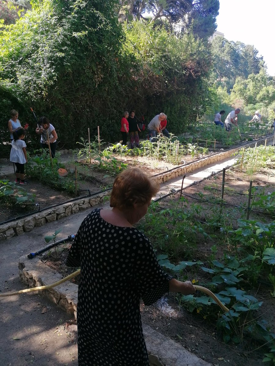 Daniela Loi tweet media