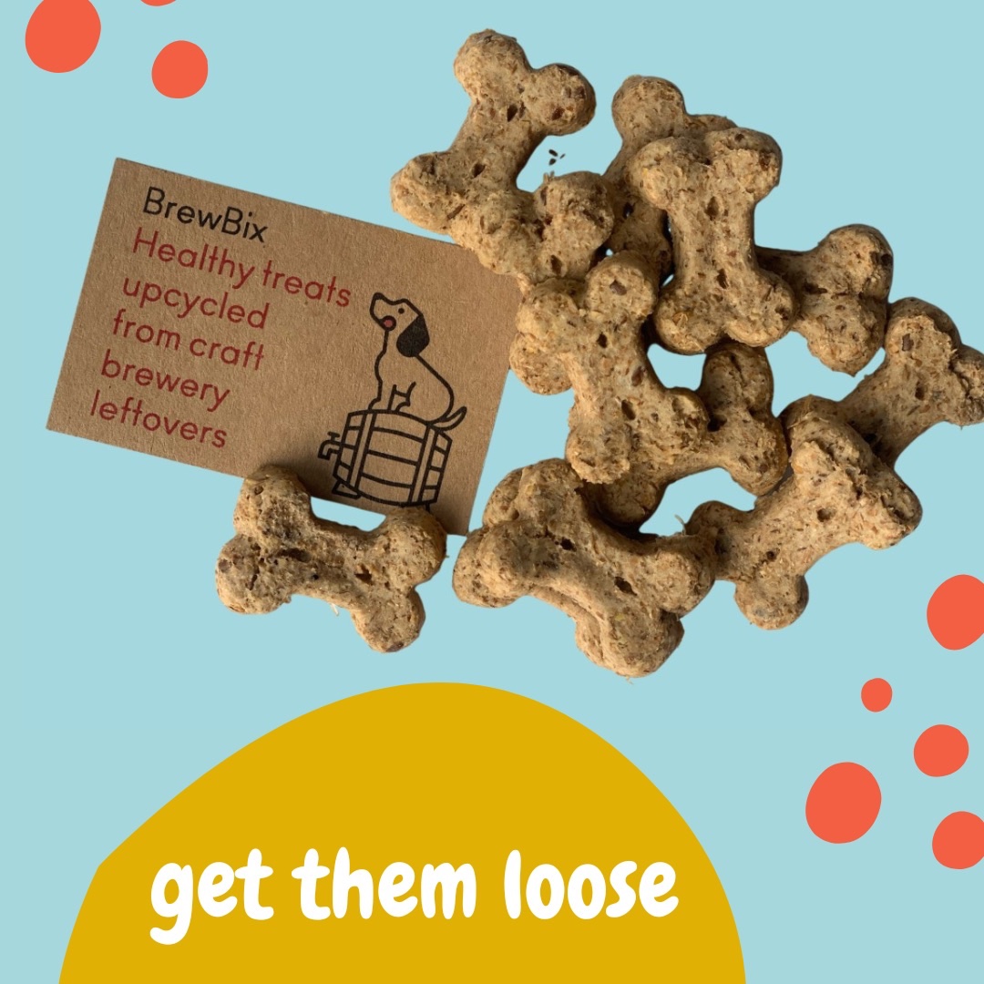 bigpetstoreuk's tweet photo. New @BrewBix now available in store - Healthy dog treats made from craft brewery left overs! 

#pets #dogtreats #dogs #thepetloverspetstore https://t.co/Zy9bai0ROA