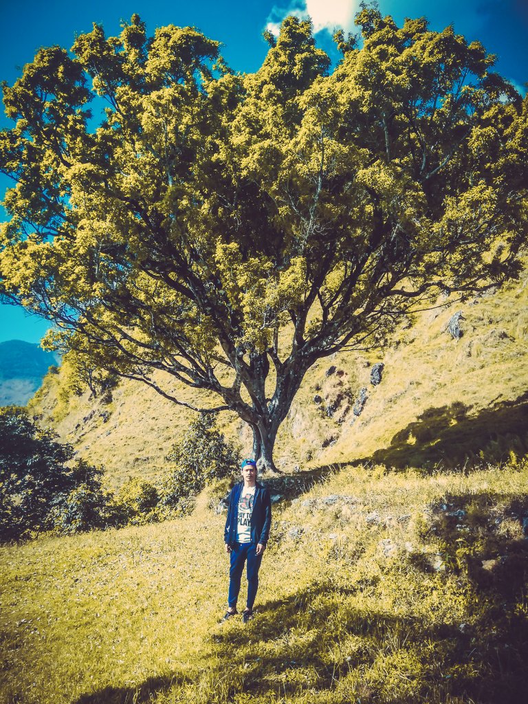 Sarusujan9's tweet photo. 𝙎𝙪𝙧𝙧𝙤𝙪𝙣𝙙 𝙮𝙤𝙪𝙧 𝙨𝙚𝙡𝙛 𝙬𝙞𝙩𝙝 𝙉𝙖𝙩𝙪𝙧𝙚  🍃🌿💚
#TravelMakesUs
#NatureBeauty
#lovedthewiew https://t.co/OhUjTPSbxI