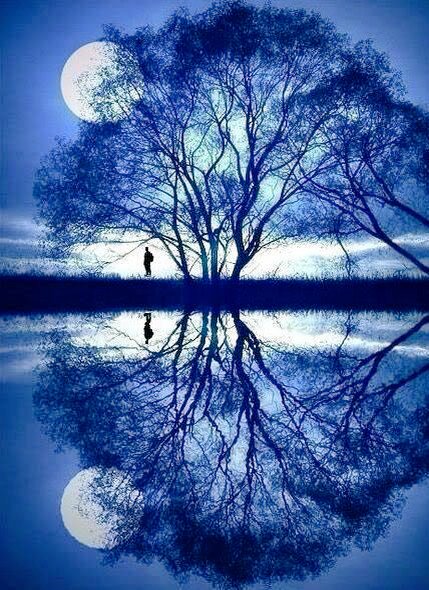 Kavya_Ras's tweet photo. #Poetic_Window

"Though
The Pain of
Separation
Is burried
In the
Depth of
My Heart.

Yet
I deeply
Feel
Yr presence
Even in 
My Lonliness.."

#Veenu"✍️
@Veenu_ub
#SWPrompt
#vss365 #poetrylovers
#LovePoems #poetrytwitter https://t.co/ykaCxYqbWz