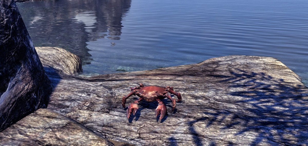 eso_rp's tweet photo. Hey #ESOFam, what's your favorite spot to take screenshots of your characters? Do you have a custom studio in a homestead or a special overland locale? 

Lord Mudsley likes to visit the water for his selfies... 
#ESORP #ESORPFam https://t.co/aYblzBEe8s