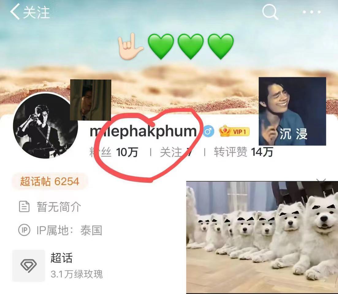 xia93894319's tweet photo. #MilePhakphum ✌ https://t.co/NSIwT3IpyM