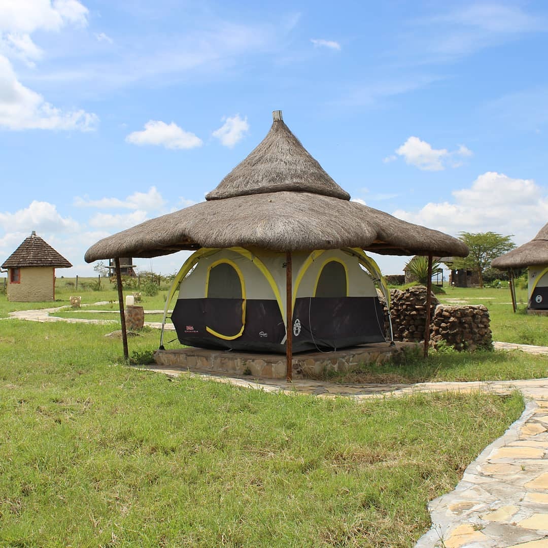MohilsK's tweet photo. Enchipai Campsite and Cottages, Isinya

Kshs. 10000 Single Occupancy
Kshs. 8000 per person sharing on double room

📞0721514167

#mohilstours Expressway Simba Arati Impeachment Man United https://t.co/zjwc276H12