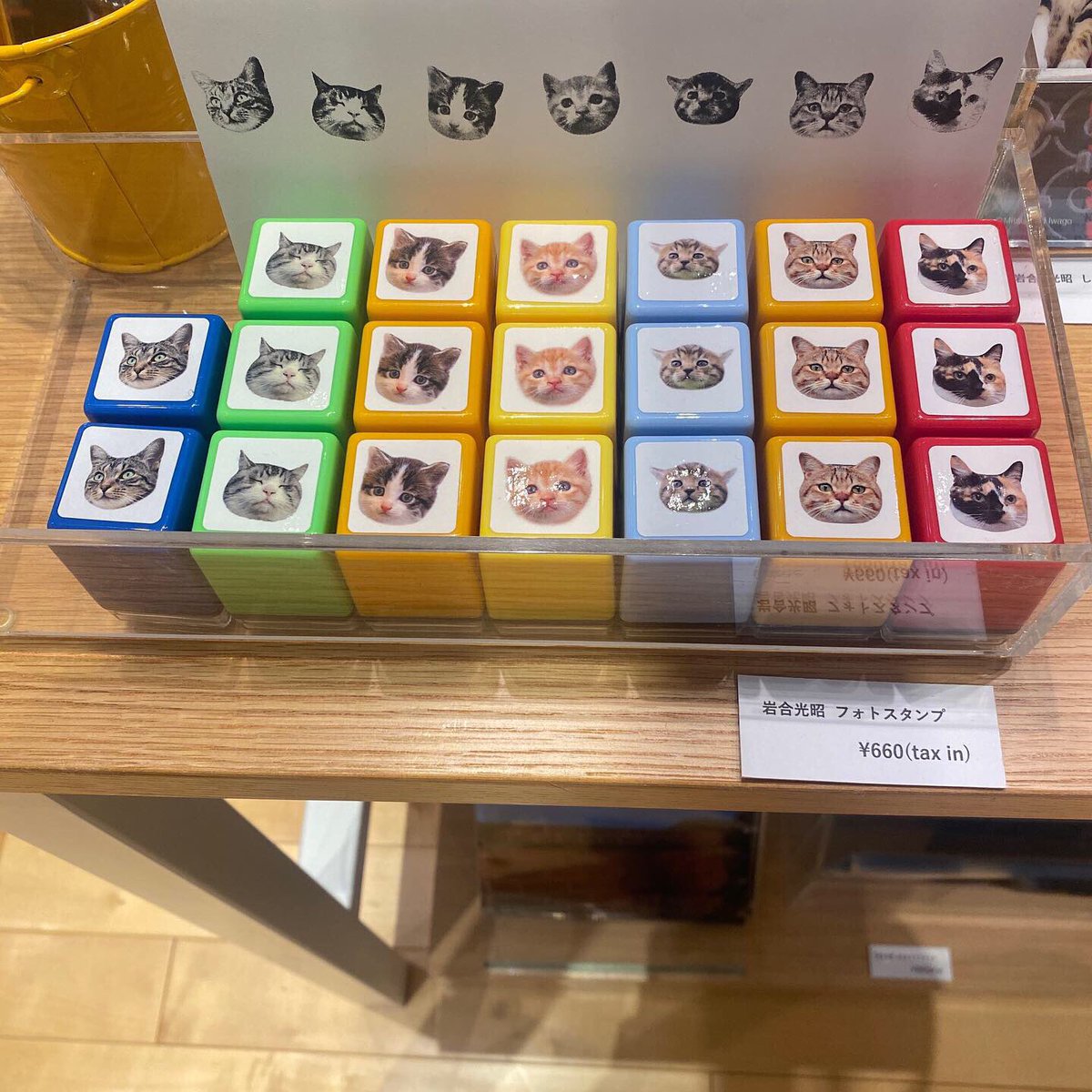 岩合展関連📨〉 岩合光昭オリジナルグッズのご紹介📍 フォトスタンプ 7