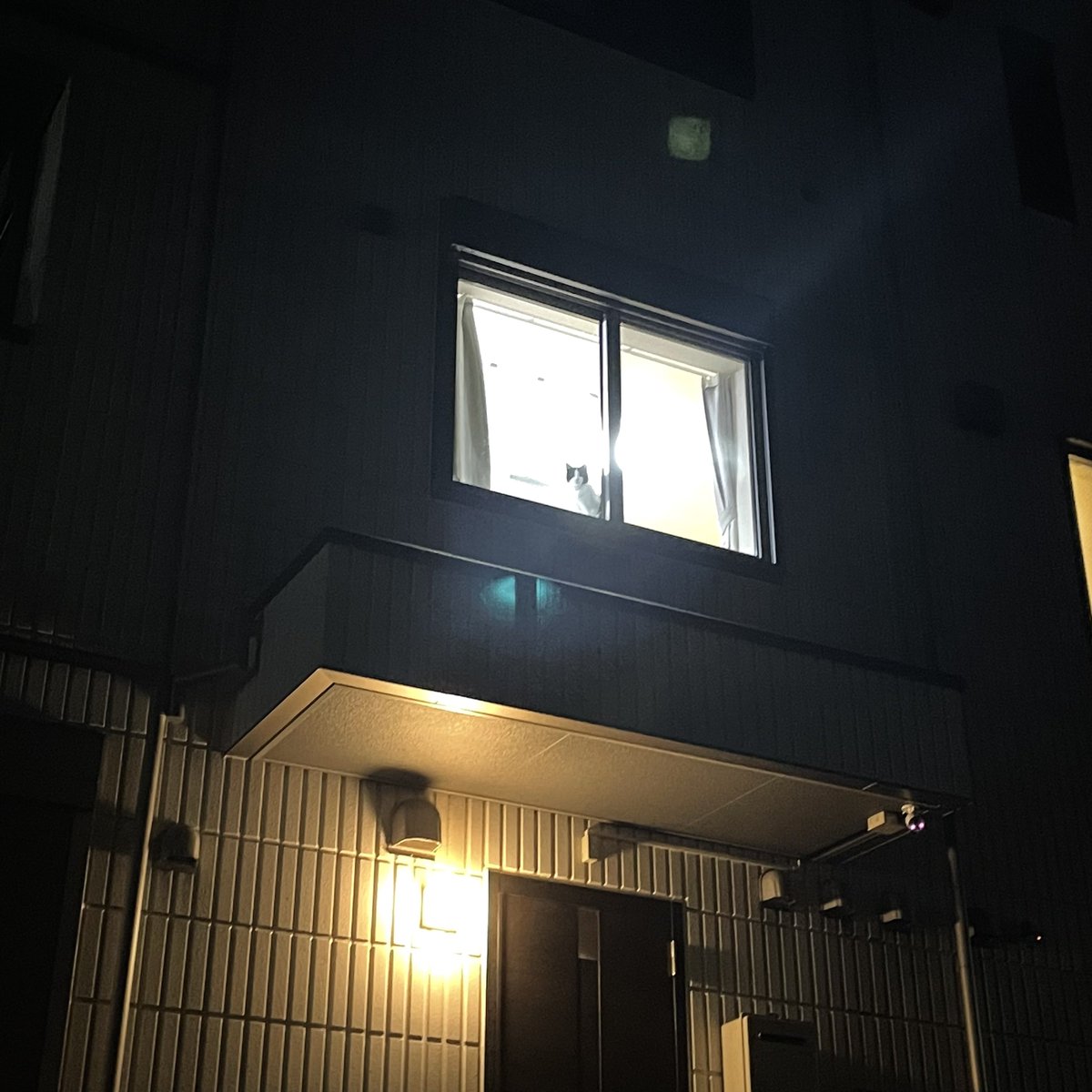 gomaruna0814's tweet photo. 疲れて帰ってきたところにこれは癒されるどころでは無い

 #猫  #猫好きさんと繋がりたい #猫のいる暮らし #保護猫　#cat #CatsOfTwitter  #ねこ #ハチワレ猫 #ハチワレ #はちわれ https://t.co/0VhfY9OXgZ