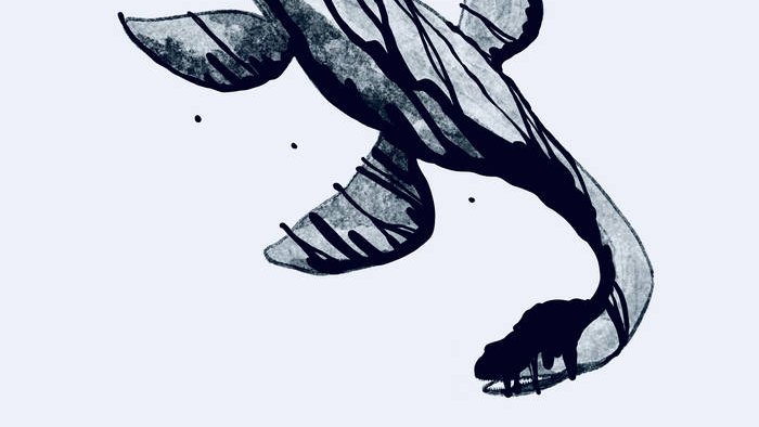 boon2tune's tweet photo. Band: ME REX @merexband
Album name: Plesiosaur EP https://t.co/e4yyVXBBRr
Release date: June 17th via @bsmrocks
#MEREX #indierock #punkrock #emo #June17 #NewReleases #NewMusic #newAlbum #thisweek #hotmusic https://t.co/0e7VI5fVsI