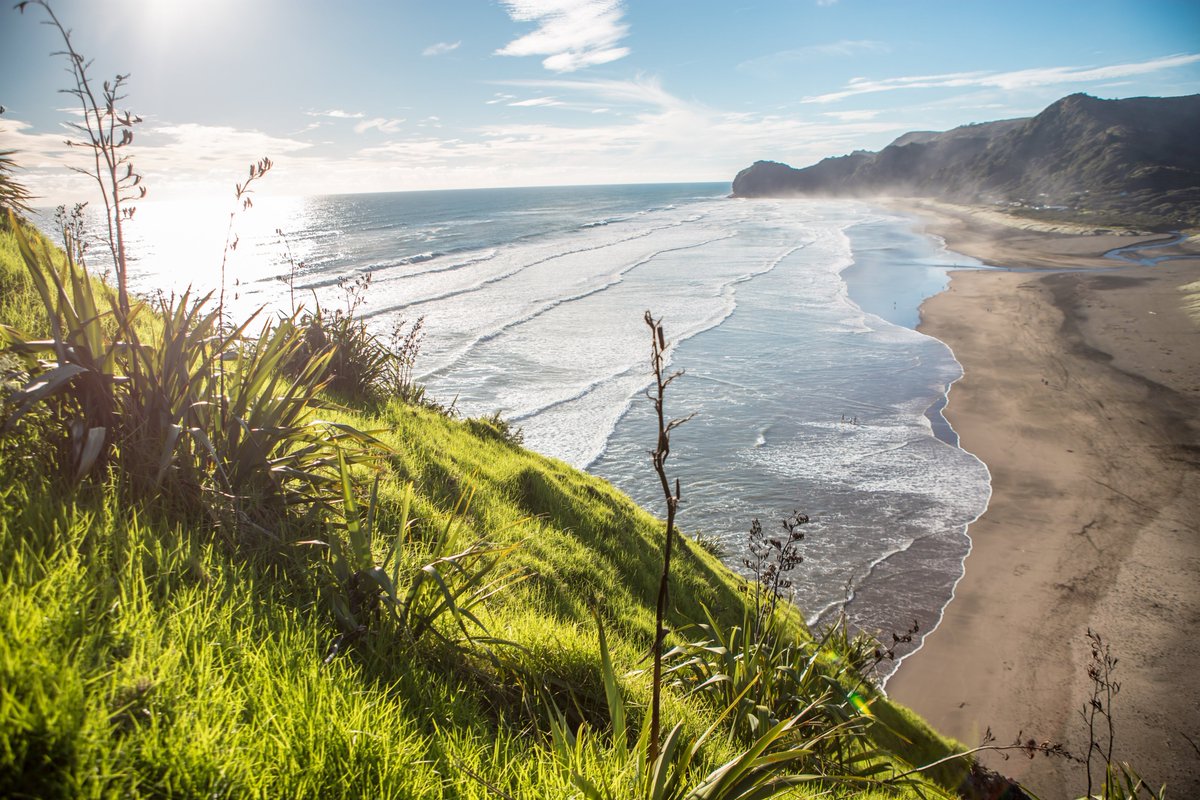 seanlin006's tweet photo. The spectacular beach scene.
https://t.co/MyAL7UclYK

#newzealand #auckland #dosomethingnewNZ #airnzshareme #nzmustdo https://t.co/JejtrxFK4T