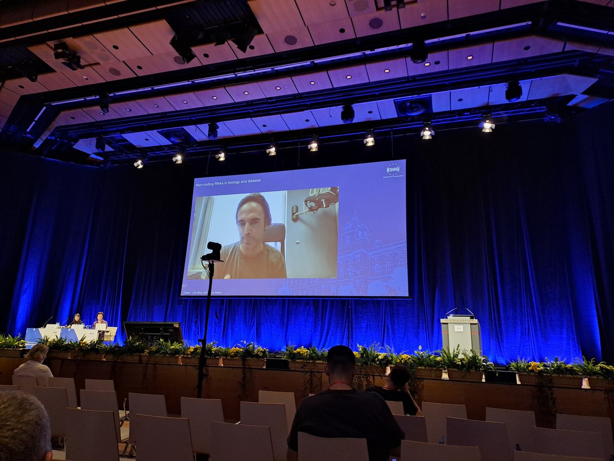 Tjakko van Ham (@vanham_lab) on Twitter photo Awesome (virtual) chalk talk (no slides) by <a href="/OdedRechavi/">Oded Rechavi</a>
Question in Q & A "I can't see the slides"
Oded: "there are no slides" 😀 #ESHG2022 #rnainheritance pic.x.com/Pn0oTL44uC Awesome (virtual) chalk talk (no slides) by <a href="/OdedRechavi/">Oded Rechavi</a>
Question in Q & A "I can't see the slides"
Oded: "there are no slides" 😀 #ESHG2022 #rnainheritance pic.x.com/Pn0oTL44uC