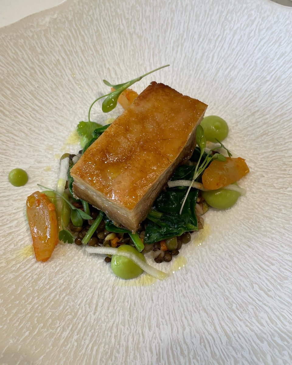 Bschefacademy's tweet photo. How itβs going β‘οΈ How it started
Johnβs dish of confit pork belly, kimchi apple, ancient grains & smoked broad beans started life as a simple sketch as part of his dish planning stages. The final dish looks fantastic as every detail was well plannedππ½
#bschefacademy https://t.co/ntx9qH4EaO