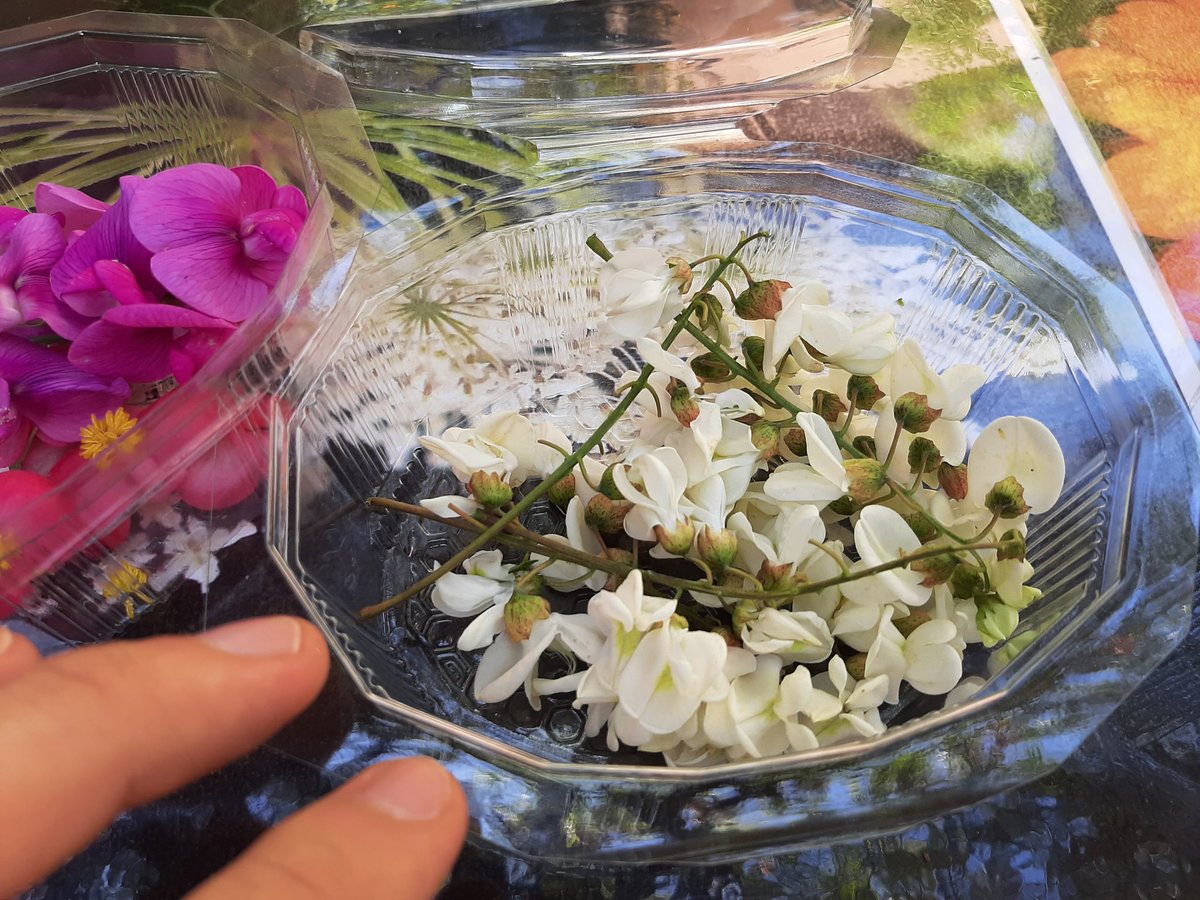 𝕷𝖔𝖎𝖈 𝕭𝖑𝖆𝖈𝖍𝖊 tweet media