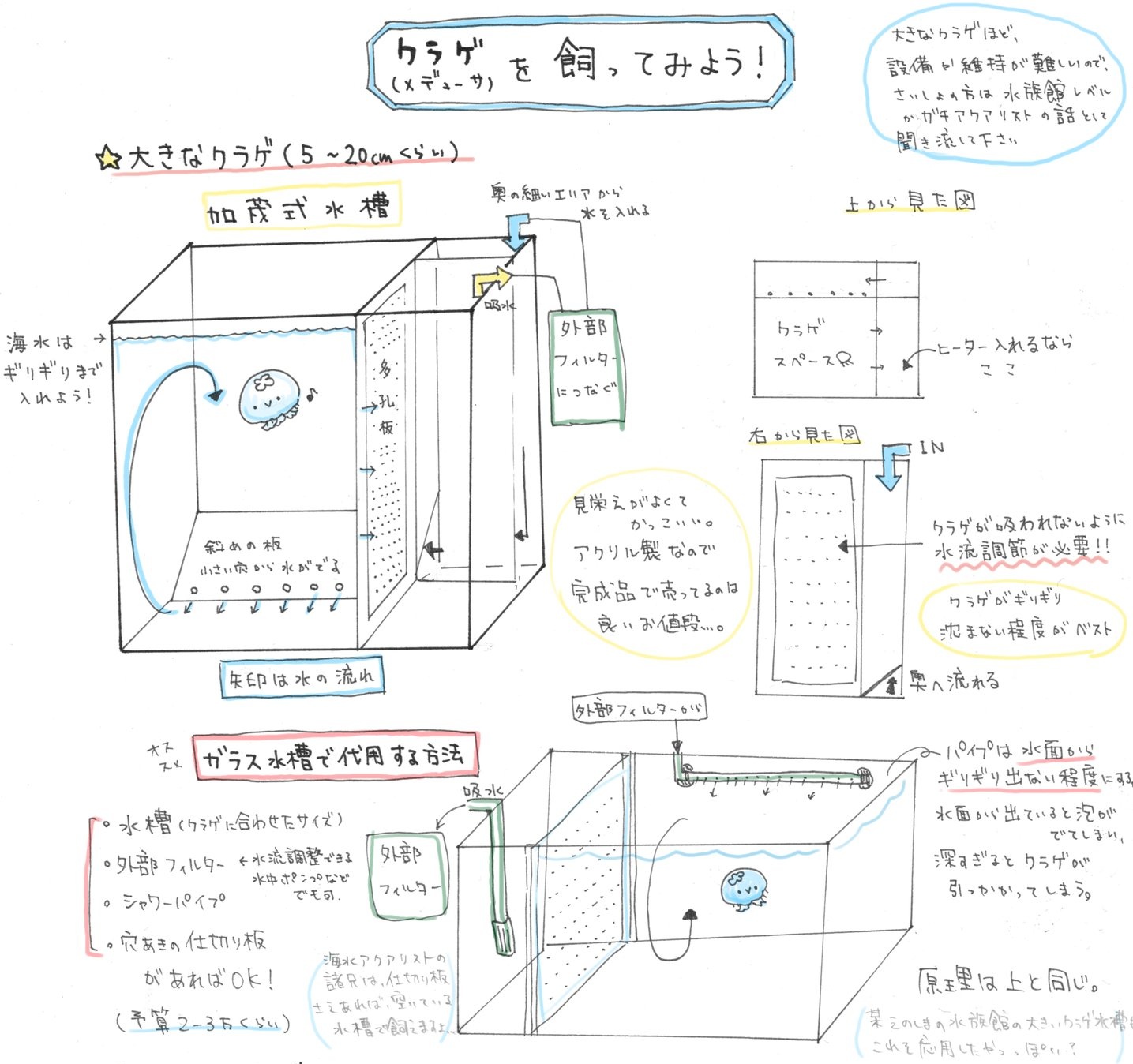 あとりえくらげ クラゲは専用水槽が無くても飼えるぞ 普通の四角い水槽と仕切り板と外部フィルターがあれば クラゲ飼育水槽になるよ 寿命が短いと悲しい 長期間一緒に居たいよ って方にはポリプの飼育もオススメ T Co Jasihrj0ev Twitter