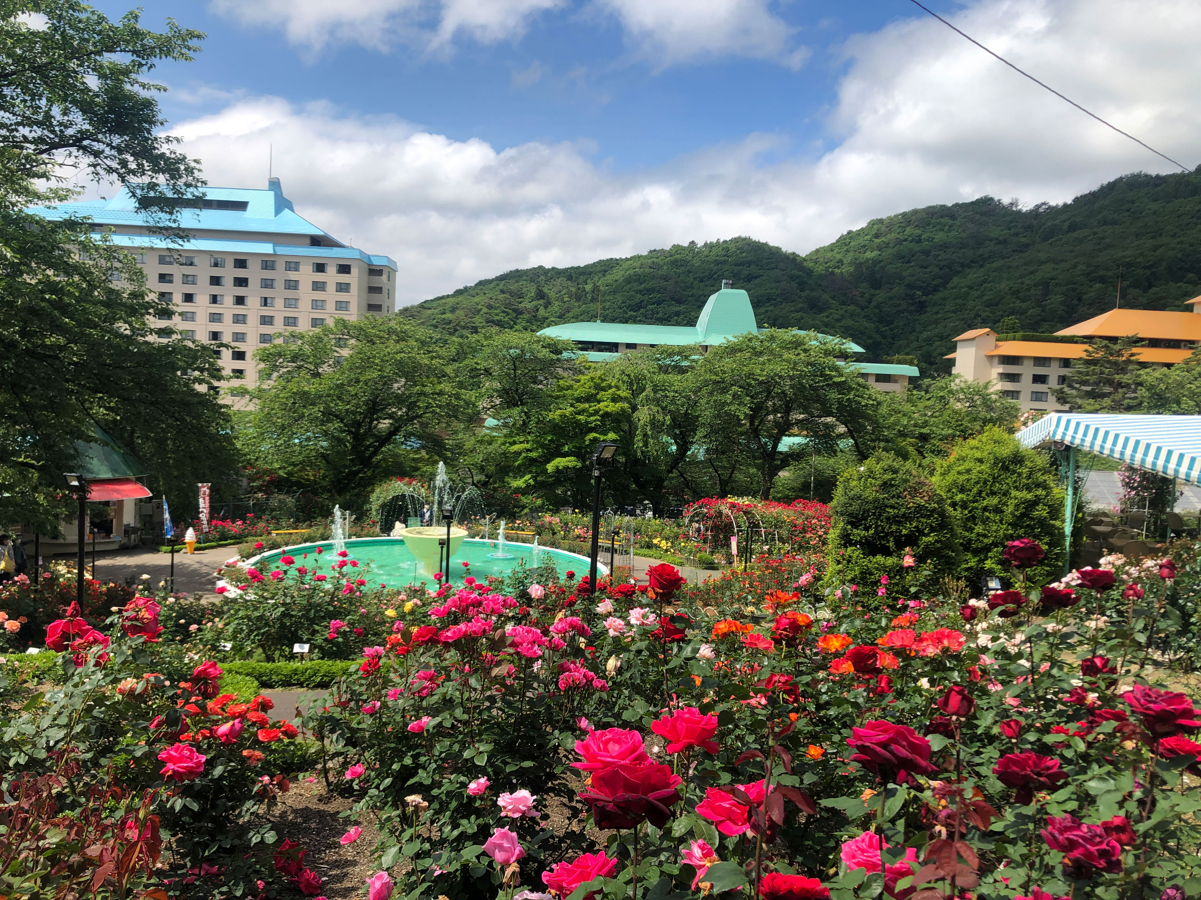 岩手の温泉 花巻温泉 公式 花巻温泉バラ園 開花状況 22 6 14 T Co Rbnrwhr4fm 今日現在 バラ園内全体の開花状況は7 8割となっています 暖かい気温が続けば 6 16頃には1番の見頃を迎えられそうです 花巻温泉 花巻温泉バラ園