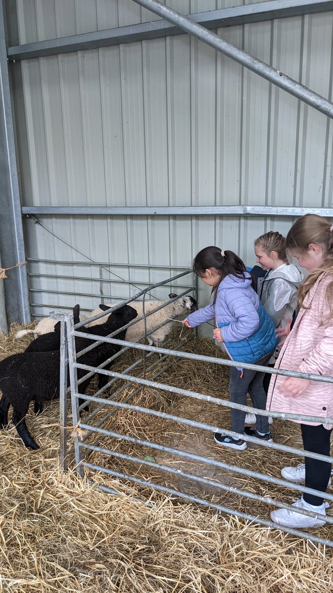 forthview_ps's tweet photo. P3s had a great time yesterday at the National Museum of Rural Life @NtlMuseumsScot. We learned how to make butter, met some of the animals and loved exploring the exhibitions! https://t.co/gR7GDW1ksq