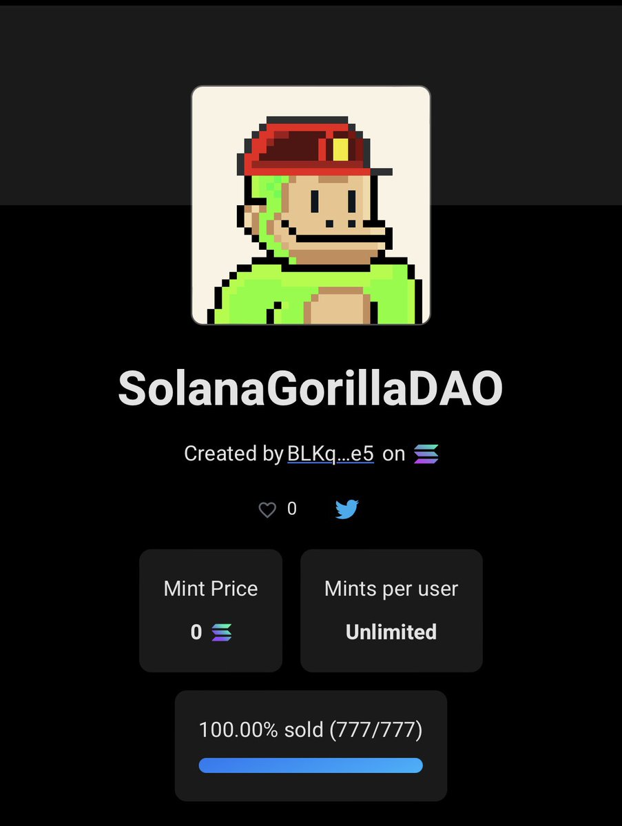SolanaGorillaDAO - SOLDOUT! tweet media