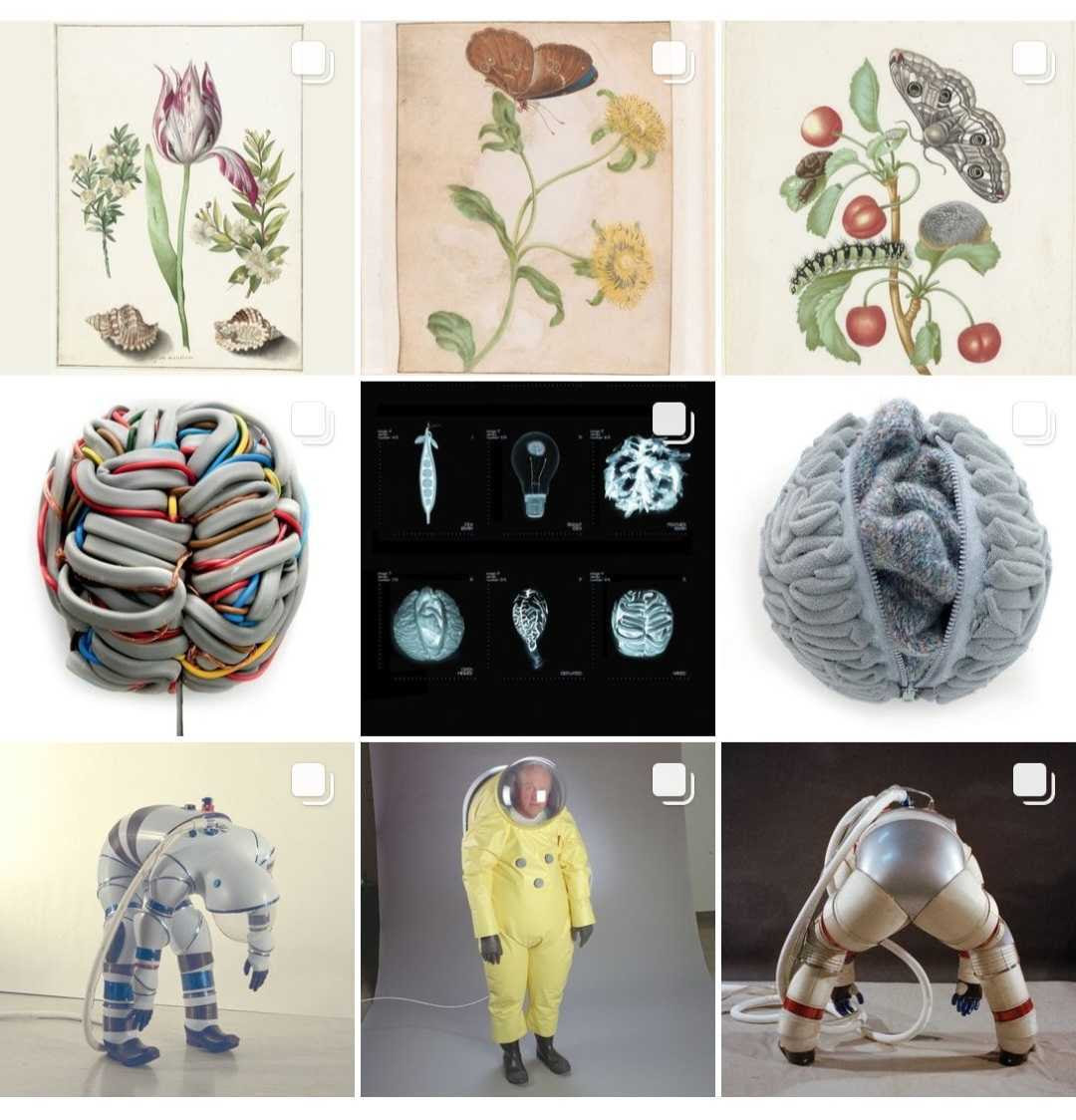 spreadthenerd_'s tweet photo. #NerdyArchives: Science databases hold incredible pictures and stories that often remain invisible. We dived deep into those and found pieces, visuals & curious objects we want to share with you. Visit our Insta account for the #VisualSciComm treasures! https://t.co/VyOeG9NfEj https://t.co/NK0UolQov1