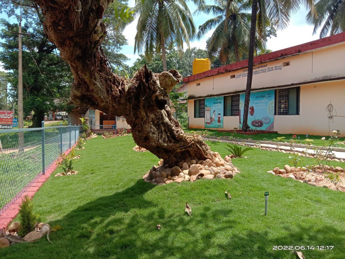 MGNREGADAKSHIN1's tweet photo. ಕೊಕ್ಕಡ ಗ್ರಾಮ ಪಂಚಾಯತ್ ವಠಾರದಲ್ಲಿ #ನರೇಗಾ ಯೋಜನೆಯಡಿ #ಗ್ರಾಮೀಣಉದ್ಯಾನವನ ರಚನೆ.
ತಾ: ಬೆಳ್ತಂಗಡಿ
#dakshinakannada #ruralgarden #park #mgnrega #ruraldevelopment
@shilpa_nag @MgnregsK @ZP_DaksnKannada @TalukuB @TAEmgnrega @Vinisha23968386 https://t.co/41Y0FDK1wh