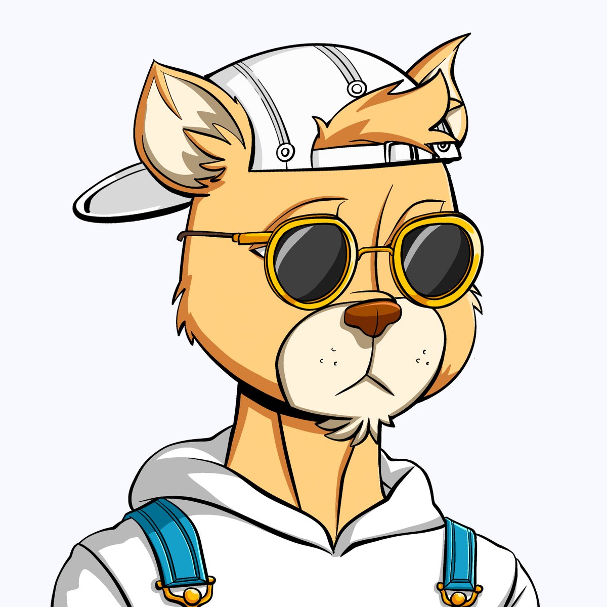 RadCats™️ tweet media