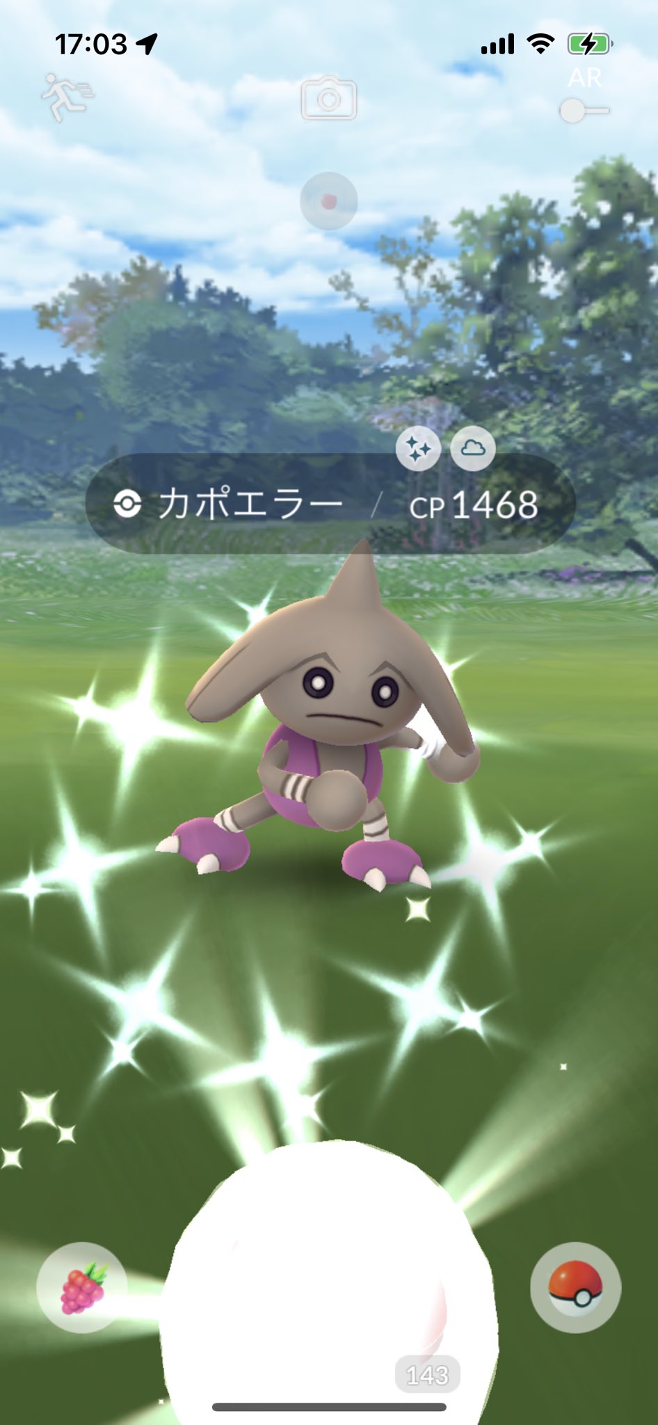 ｶﾎﾟｴﾗｰ Twitter Search Twitter