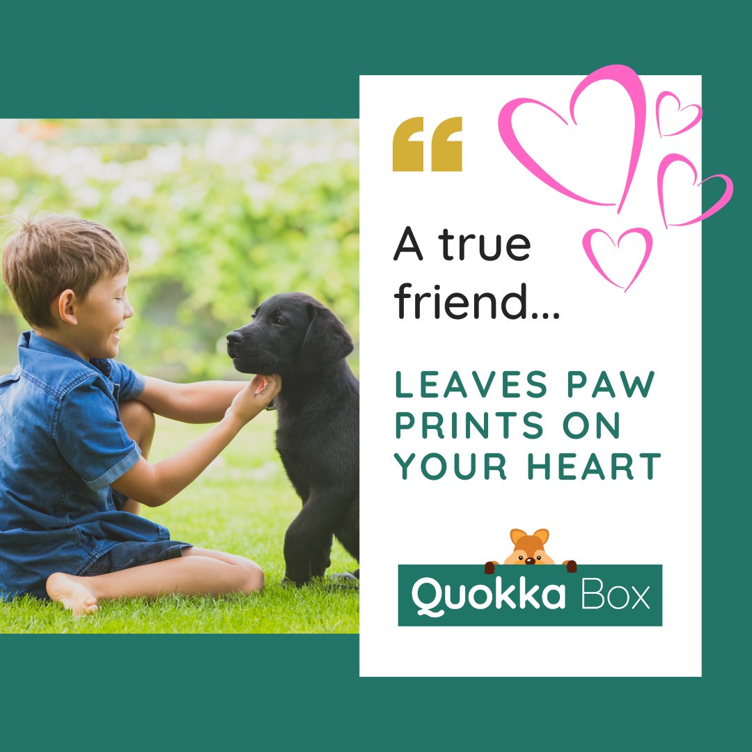 They certainly do! Our hearts are covered in paw prints, are yours? ❤

#quokkabox #pets #animals #bestfriends