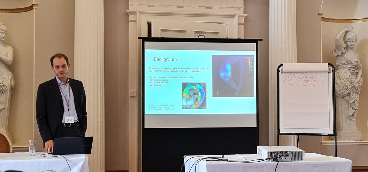 HEARTinMagnet's tweet photo. 4D flow in BAV. #WhyCMR #4DFlowCMR @BissellMalenka
#5th4DflowWorkshop https://t.co/MieTwJkeB5