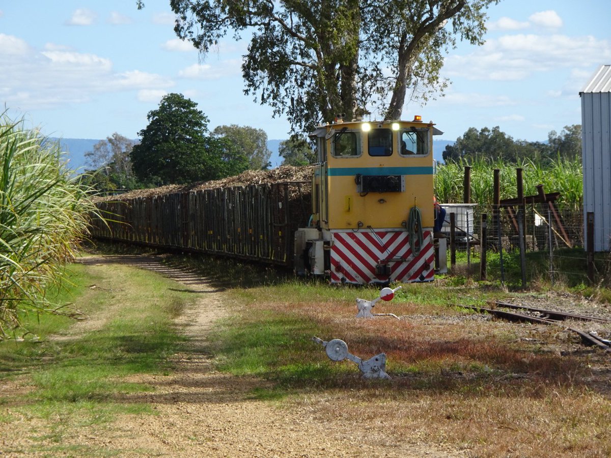 jcantame's tweet photo. First load of Sugar Cane from Hawkins Creek for the  2022 harvest on it way to Macknade Mill.  Good to see the 2022 Harvest start @CANEGROWERS #hawkinscreek #macknademill #hinchinbrook https://t.co/ioiXF7BnBw