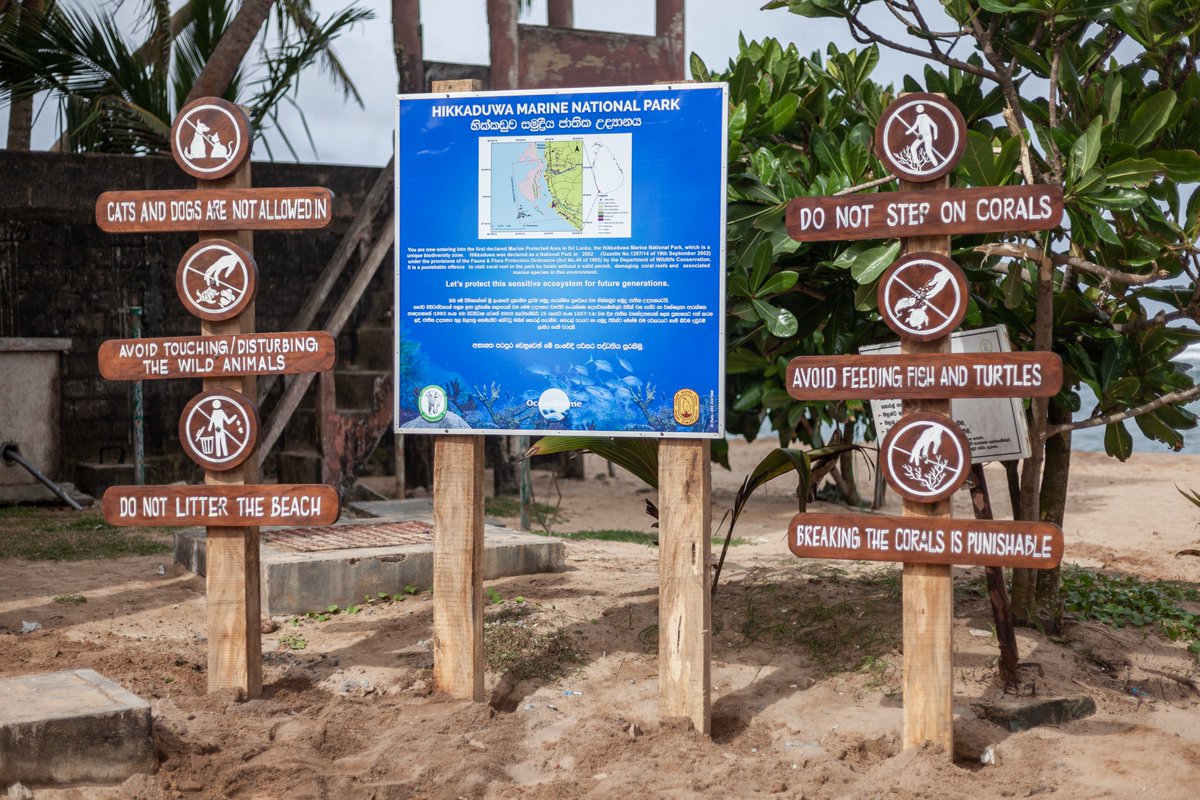 BiomeOcean's tweet photo. World Ocean Day. Awareness-based refurbishment in the Hikkaduwa Marine National Park.
#WorldOceanDay #dreamspaceacademy #RuhunaUniversity #FoundationofGoodness #WildLifedepartment #Conservation #OceanBiome https://t.co/0JNnkkiFHp