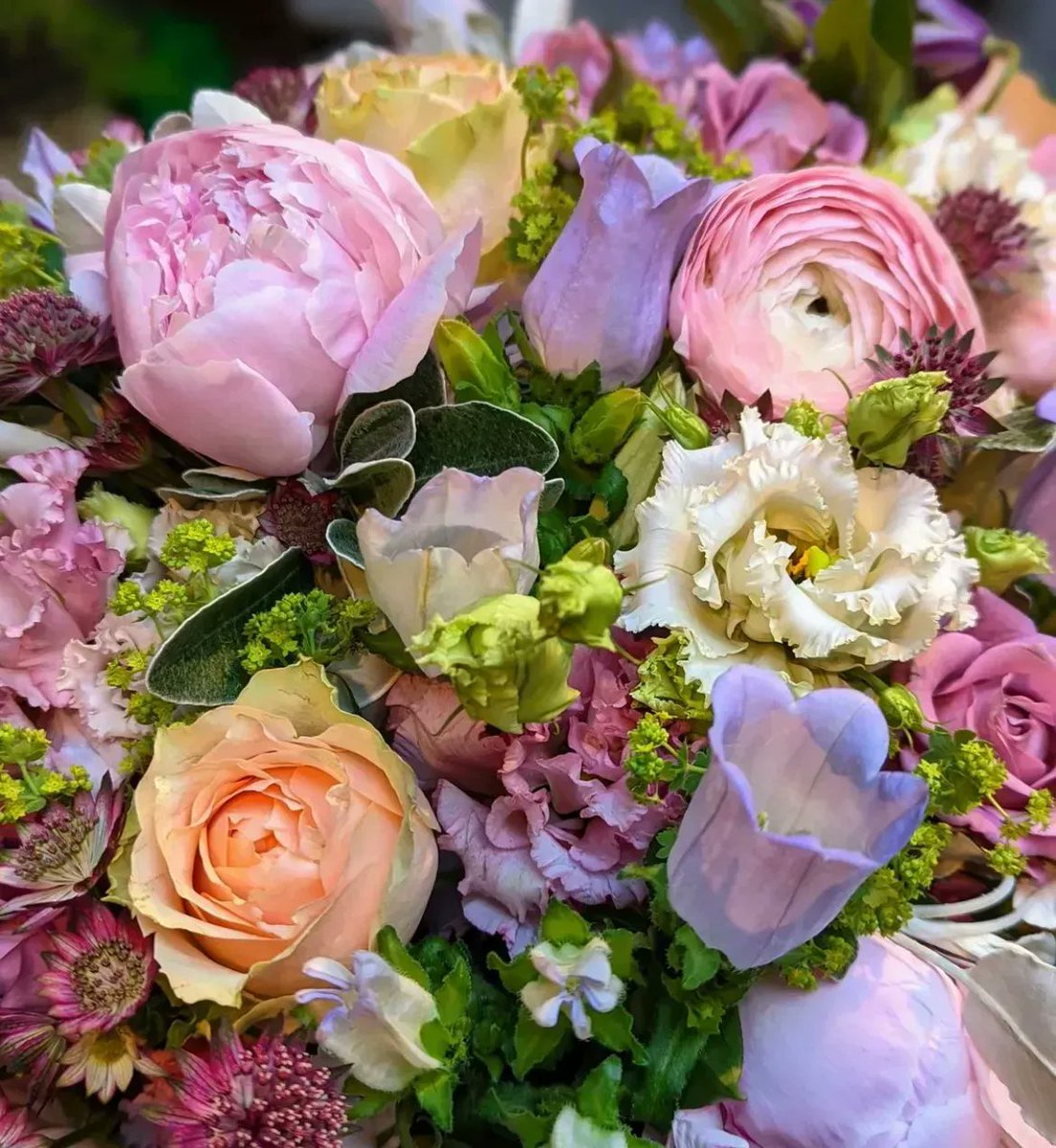 BBFlowersLondon's tweet photo. Take time out today to indulge in this symphony of a seasonal bouquet to feel the summer vibes whatever the weather is like where you are....!! #londonflorist #coventgarden https://t.co/0pjtUf47qs https://t.co/5Iu4YdbiCz