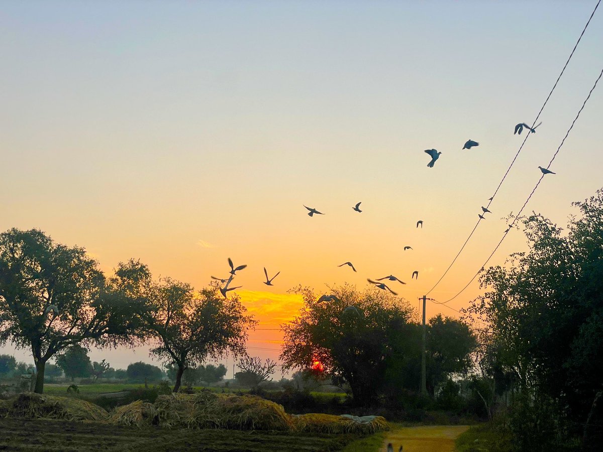 TiwariTrinetra's tweet image. ‘‘अपने रुपए उन चीजों पर खर्च करें जो रुपए से मिल सकती हैं। अपना समय उन चीजों पर खर्च करें जो रुपए से नहीं मिल सकती है।’’
                     ~ हारूकी मुराकामी