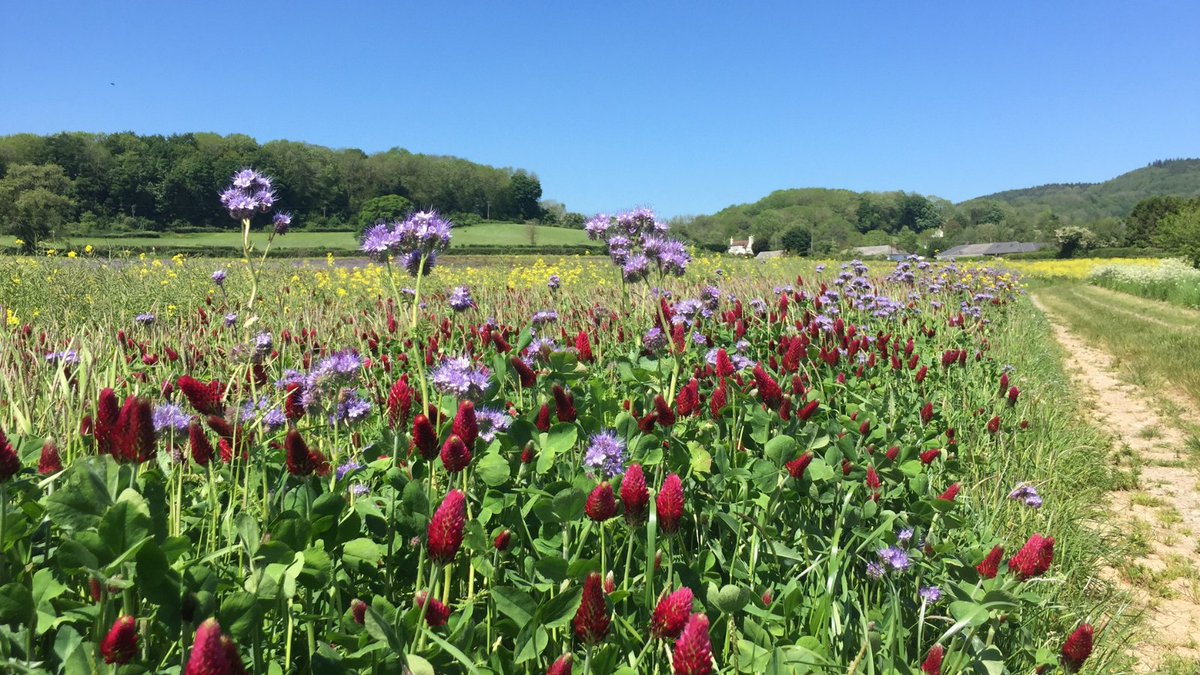 The <a href="/NFUtweets/">National Farmers' Union</a> are endorsing recommendations made in a new roadmap published by the <a href="/financeuknature/">Financing Nature Recovery UK</a> coalition. Find out more about the opportunities for farmers and landholders here 👉 nfuonline.com/updates-and-in…