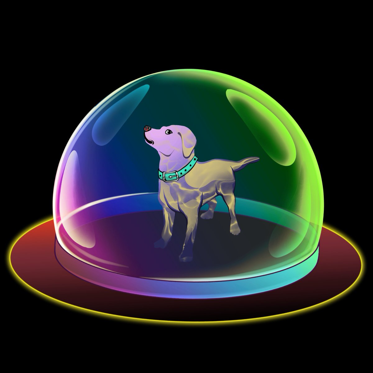 DOGZONE tweet media