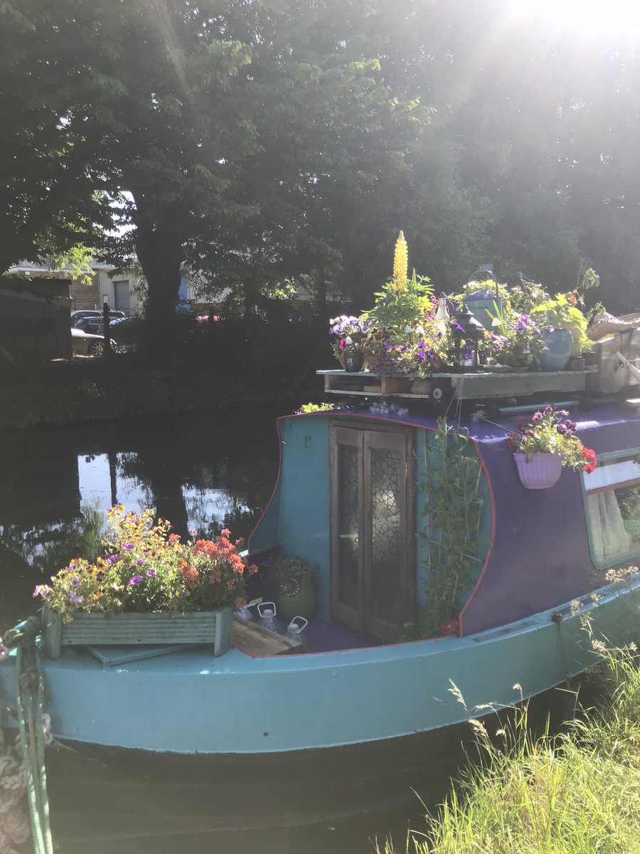 KatieRubyMiller's tweet photo. My narrowboat garden is looking spectacular this year. With so much more to flower I can’t wait to see how it progresses over the summer 🥰

#narrowboat #narrowboatlife #narrowboatgarden #floatinggarden #boatsinbloom #canallife #boating #flowersinbloom https://t.co/pZg2YOLYns