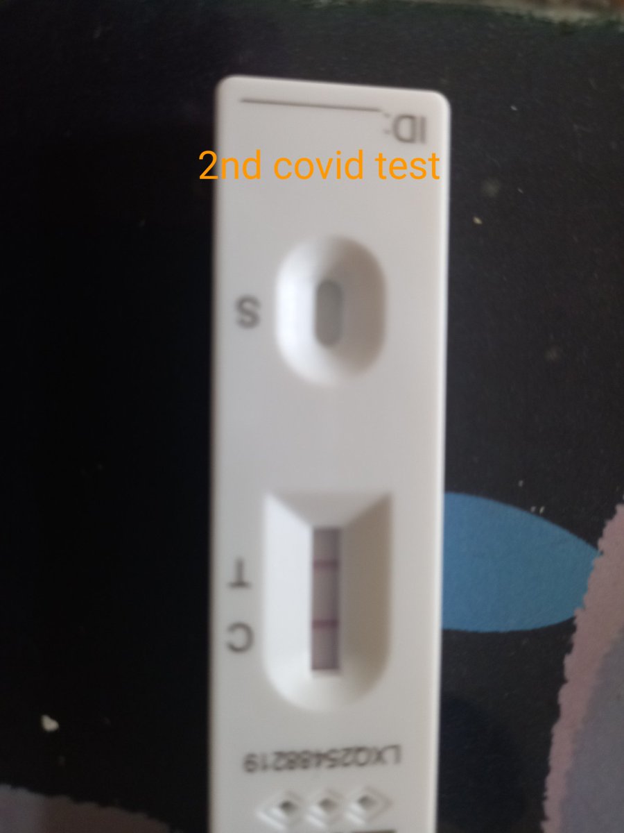 MandieWalters's tweet photo. Feeling really poorly today. 😞 Took 2 tests and both were positive. It's the 2nd time I've got the darn thing. Even though I had an absolute awesome time at the @ronanofficial concert last Thursday, I think that's where I possibly caught it. Oh well. #covidsucks https://t.co/tsmgJ3Hr44