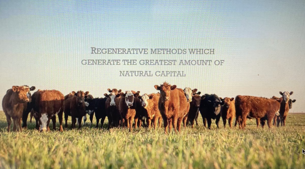earthanalytics1's tweet photo. Join me for my talk tomorrow on the Roadmap to Net Zero Milk and Meat Production: Creating Resilience in Livestock Farming Systems in times of Climate Change. #regenag #soilhealth #netzero #climatechange #biodiversity #itsthehownotthecow
https://t.co/1Hk0jE4dGZ https://t.co/97Z6rdo0Qa