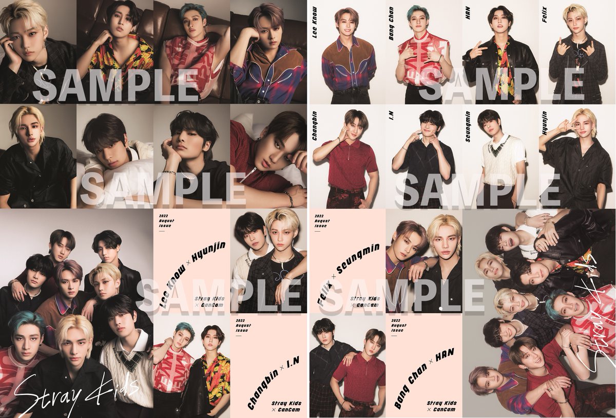 Stray store. Stray store. Stray kids плакат. Группа stray kids 2022. Stray store.