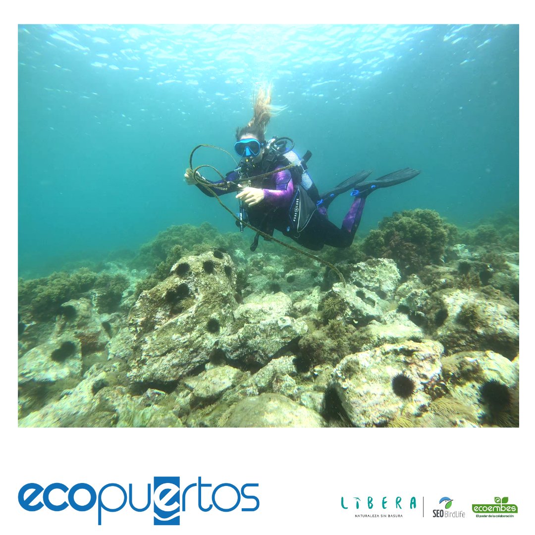 ecopuertos's tweet photo. Continuamos con la campaña de primavera de Ecopuertos #FondosSomeros en la Playa de Torrenueva. A lo largo de los transectos se encontraron 59 ítems, 10 de los cuales son latas de bebida, destacando junto con residuos agrícolas y de la pesca recreativa  #ProyectoLIBERA @ecoembes https://t.co/zSSdtpeEDC