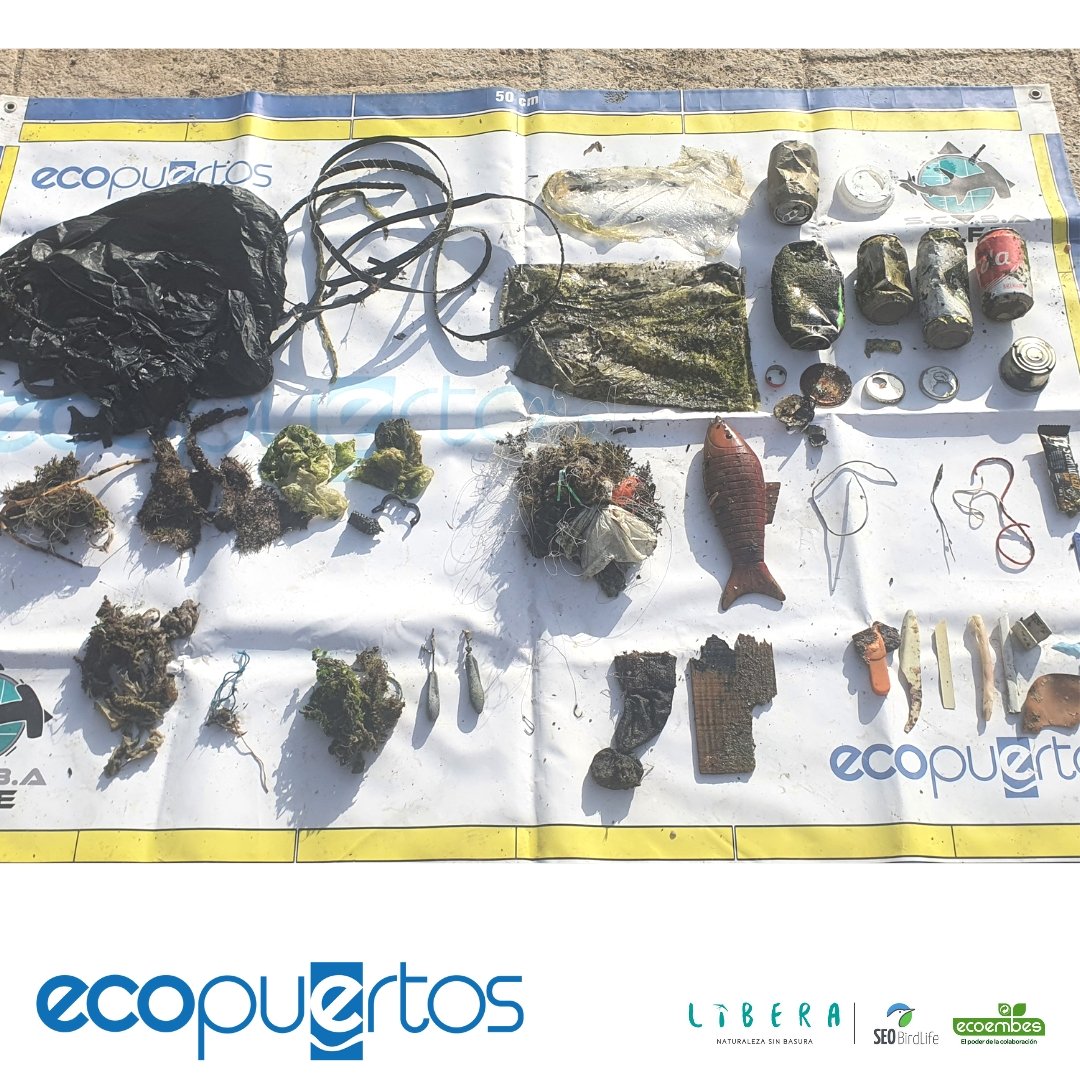 Continuamos con la campaña de primavera de Ecopuertos #FondosSomeros en la Playa de Torrenueva. A lo largo de los transectos se encontraron 59 ítems, 10 de los cuales son latas de bebida, destacando junto con residuos agrícolas y de la pesca recreativa  #ProyectoLIBERA <a href="/ecoembes/">Ecoembes</a>