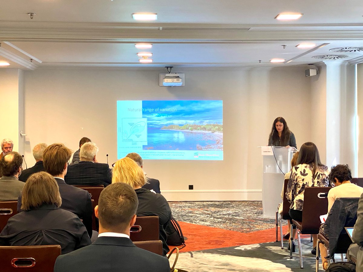 LIVE 🟢The seminar 'Multifunctional Forests - Trilemma of providing #biodiversity, carbon sequestration and raw material for Europe' is on in Brussels! 

Intriguing presentations about #bioeconomy, #forestmanagement &amp; #carbon in Northern European forests by the PROFOR network🌳♻️