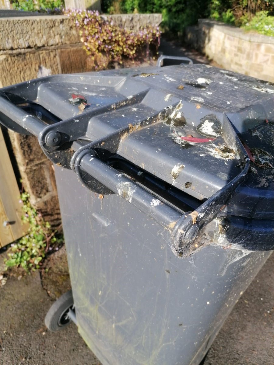 Hambleton Recycling tweet media