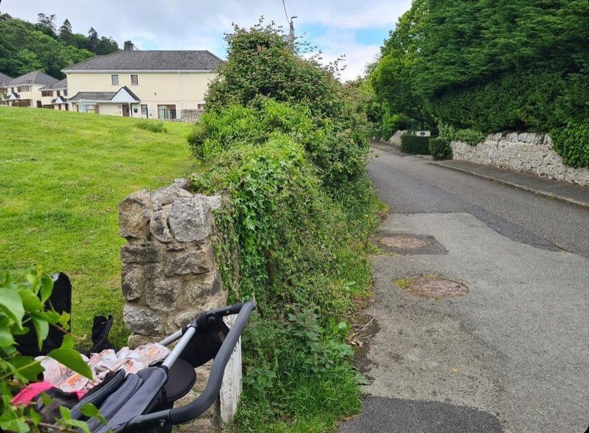 CllrMFleming's tweet photo. I have requested that the bushes be cut back at the pedestrian entrance/exit from The Rectory to Kilgobbin Lane as it impairs vision for pedestrians to see oncoming traffic.
#Safety #RoadSafety #TheRectory #Kilgobbin #KilgobbinLane #Stepaside #CouncillorLife #StaySafe https://t.co/8uRyvqam2C