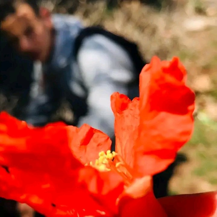 يعمل متبعا