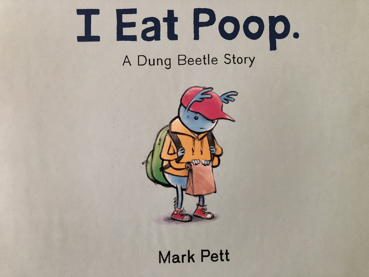 Zwartbles Ireland • Suzanna Crampton tweet media