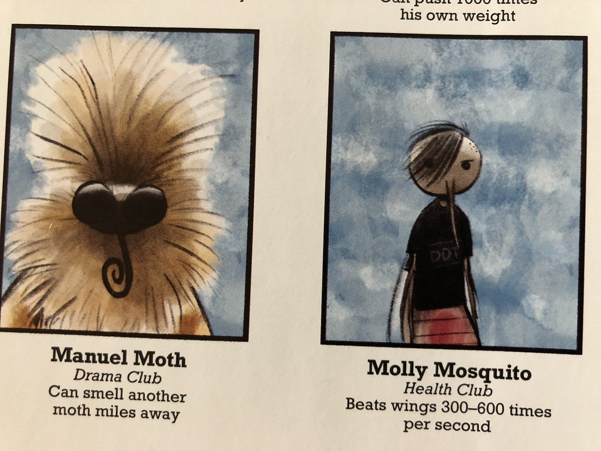 Zwartbles Ireland • Suzanna Crampton tweet media