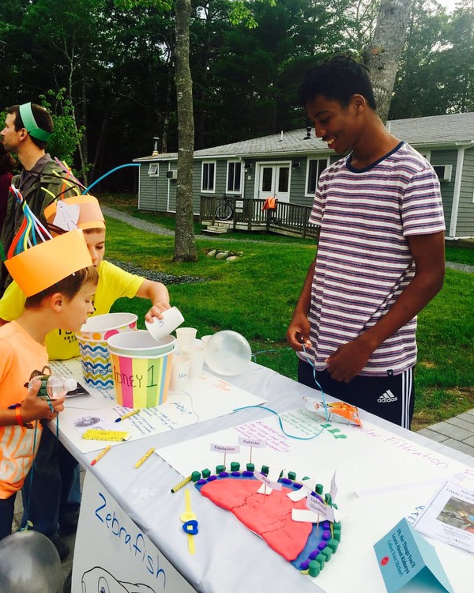 MDI Biological Lab tweet media