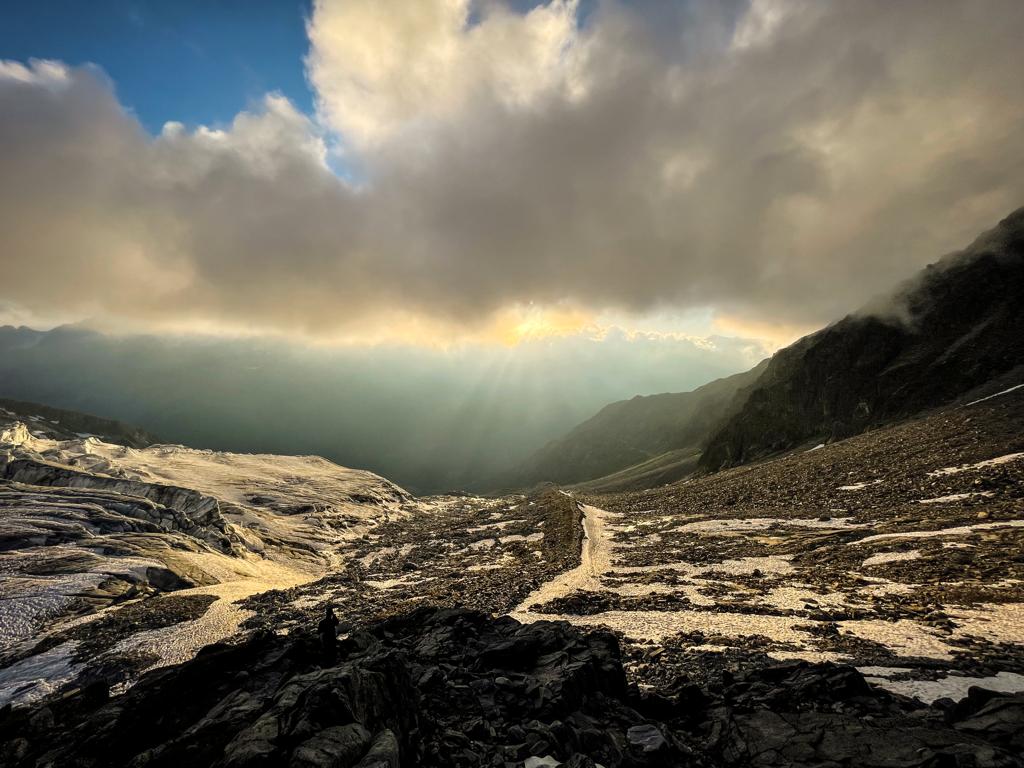 Tamara Taylor tweet media