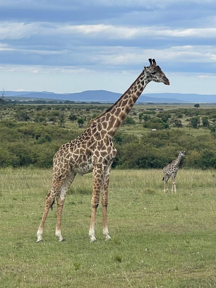 RoseHulman's tweet photo. Students participating in this summer's Kenya-Global Engineering and the Social Context trip are getting quite an educational adventure. Enjoy! #rosehulman https://t.co/slmjMcbxdF