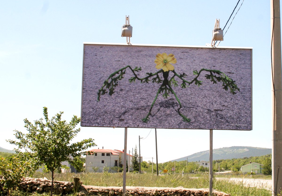 Paracelsus Labs tweet media