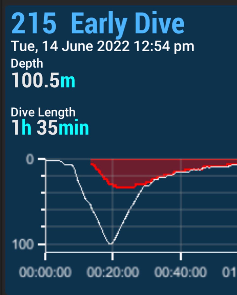 PADI Tec 100 CCR Diver Course Day 6. The team after our final qualifying dive down to 100m which went exactly to plan #middlefinger #PADI #Tec100 #gozo #tecdiving #Prism2 #hollis #rebreather #CCR

📸 instagram.com/p/CeyYJd1DiyV/ via tweet.photo