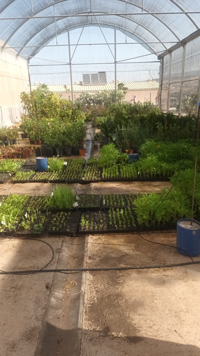 IMonachil's tweet photo. Así luce el vivero municipal de Monachil, proyecto premiado e impulsado por nuestra concejalía de Medio ambiente https://t.co/FMYIlumtI0