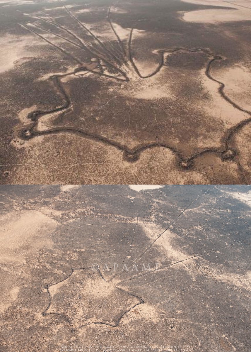 The remains of ancient Desert Kites in Jordan. These huge constructions, which are found in the deserts of Jordan, Egypt and Saudi Arabia, were established in the late 4th millennium or early 3rd millennium BCE and were aimed at trapping game animals