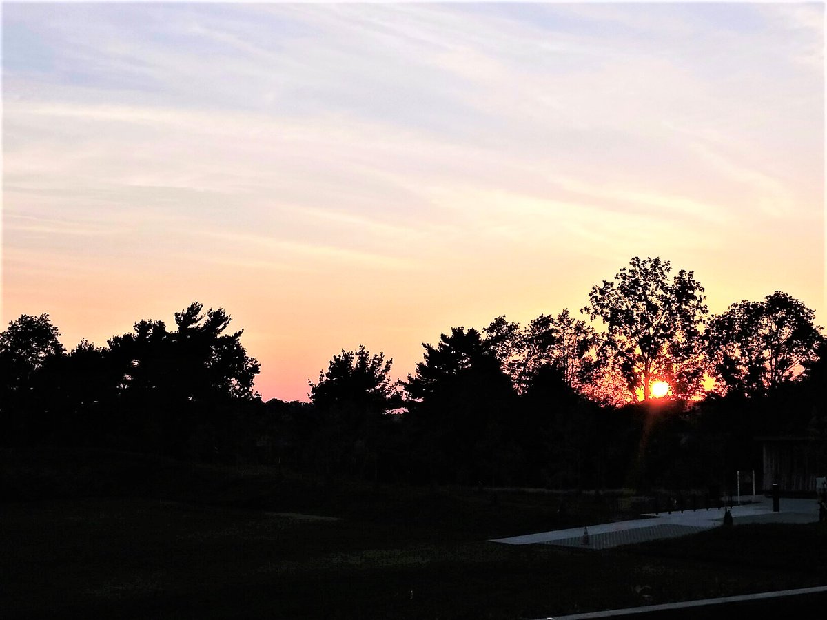 Brookline GreenSpace Alliance tweet media